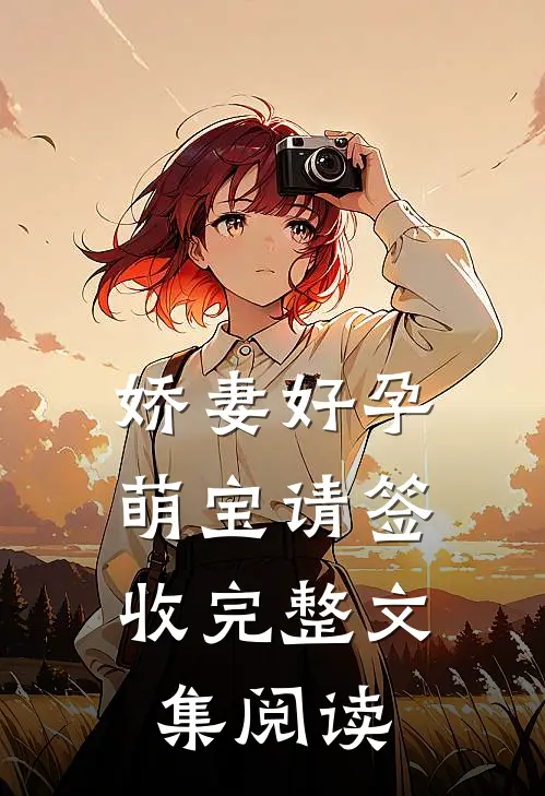 娇妻好孕：萌宝请签收完整文集阅读