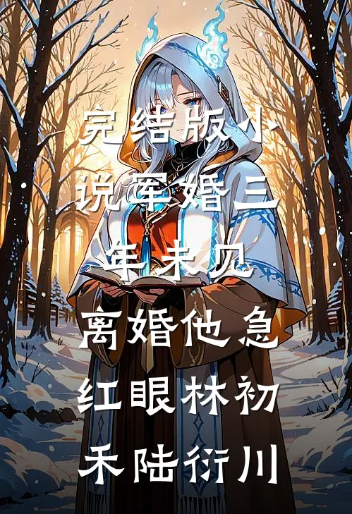 完结版小说军婚三年未见，离婚他急红眼林初禾陆衍川
