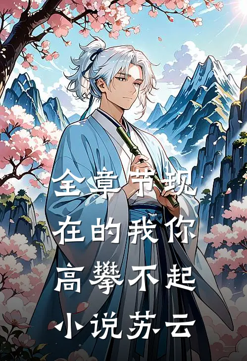 全章节现在的我你高攀不起小说苏云