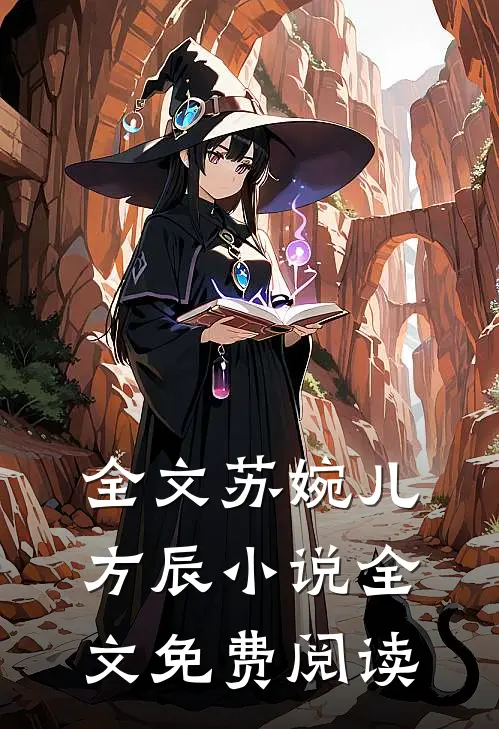 全文苏婉儿方辰小说全文免费阅读