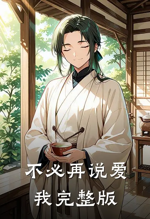 不必再说爱我完整版