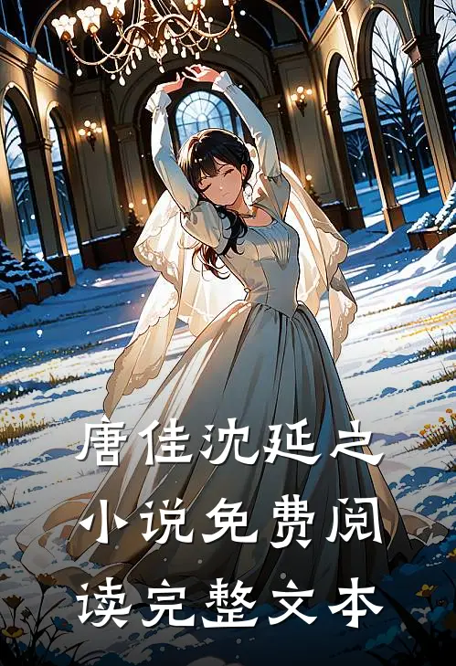 唐佳沈延之小说免费阅读完整文本