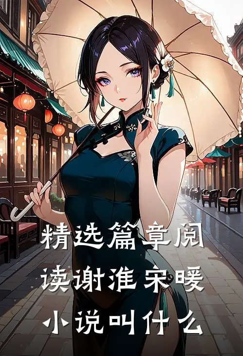 精选篇章阅读谢淮宋暖小说叫什么