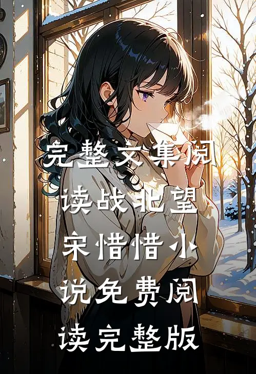 完整文集阅读战北望宋惜惜小说免费阅读完整版