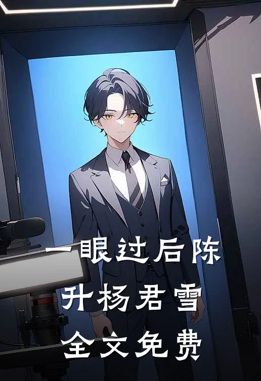 一眼过后陈升杨君雪全文免费