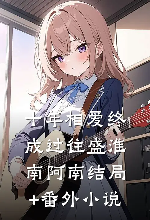十年相爱终成过往盛淮南阿南结局+番外小说