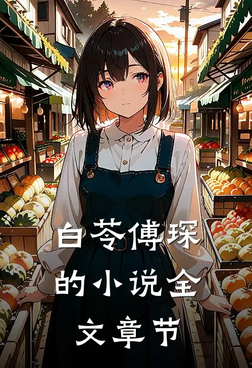 白苓傅琛的小说全文章节
