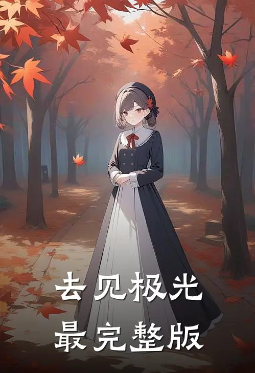 去见极光最完整版