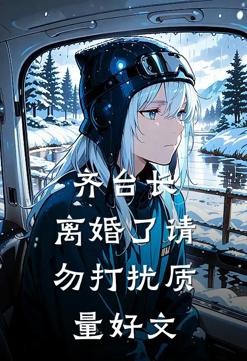 齐台长，离婚了请勿打扰质量好文