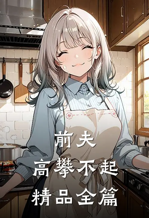 前夫，高攀不起精品全篇