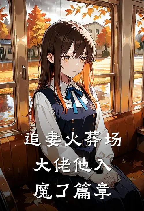 追妻火葬场,大佬他入魔了篇章
