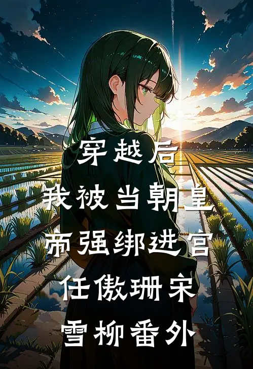 穿越后，我被当朝皇帝强绑进宫任傲珊宋雪柳番外