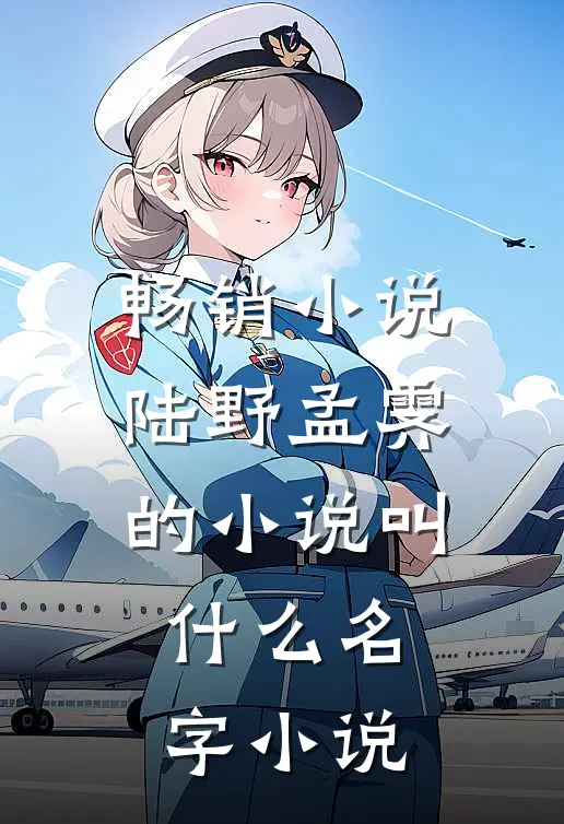 畅销小说陆野孟霁的小说叫什么名字 小说