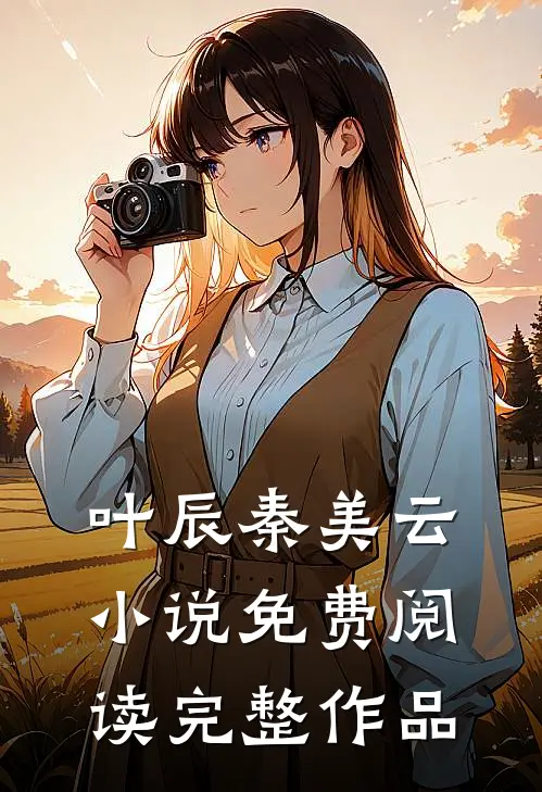 叶辰秦美云小说免费阅读完整作品
