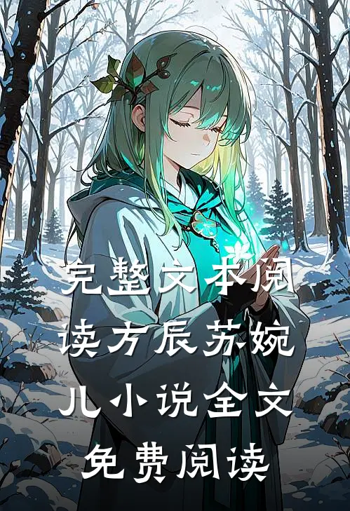 完整文本阅读方辰苏婉儿小说全文免费阅读