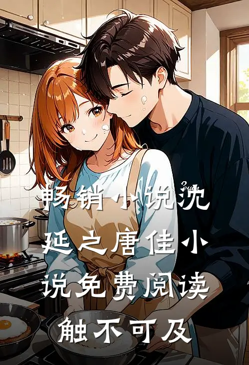 畅销小说沈延之唐佳小说免费阅读触不可及