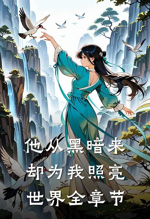他从黑暗来,却为我照亮世界全章节