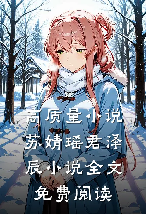 高质量小说苏婧瑶君泽辰小说全文免费阅读