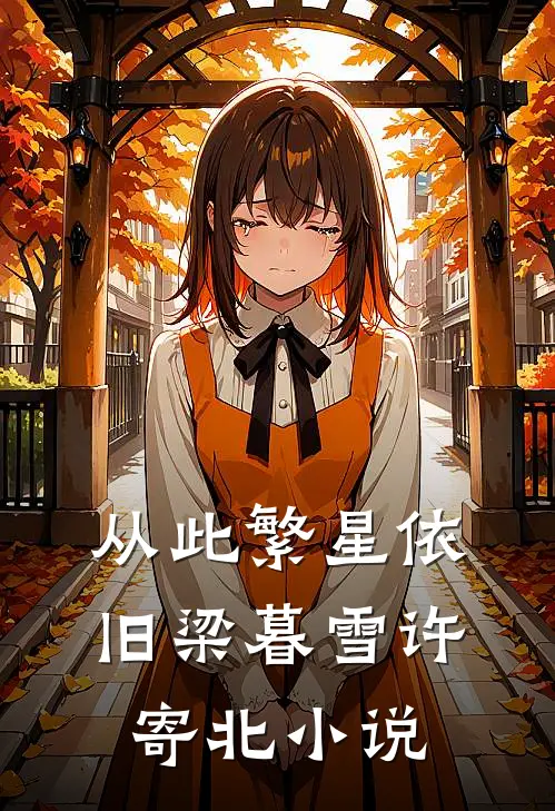 从此繁星依旧梁暮雪许寄北小说