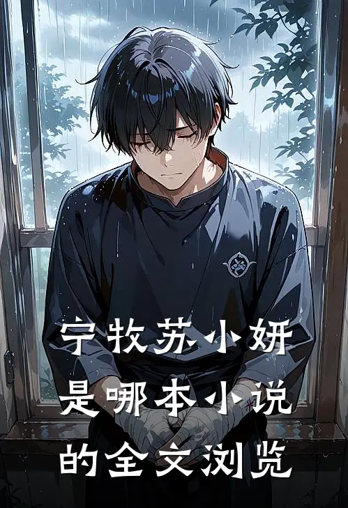 宁牧苏小妍是哪本小说的全文浏览