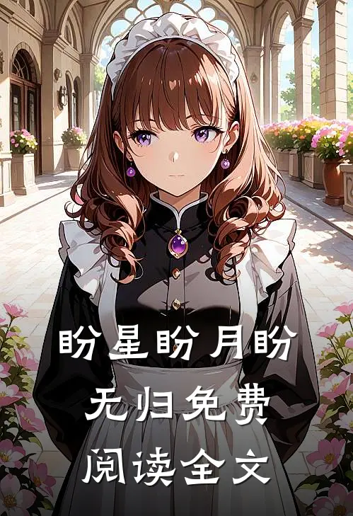 盼星盼月盼无归免费阅读全文