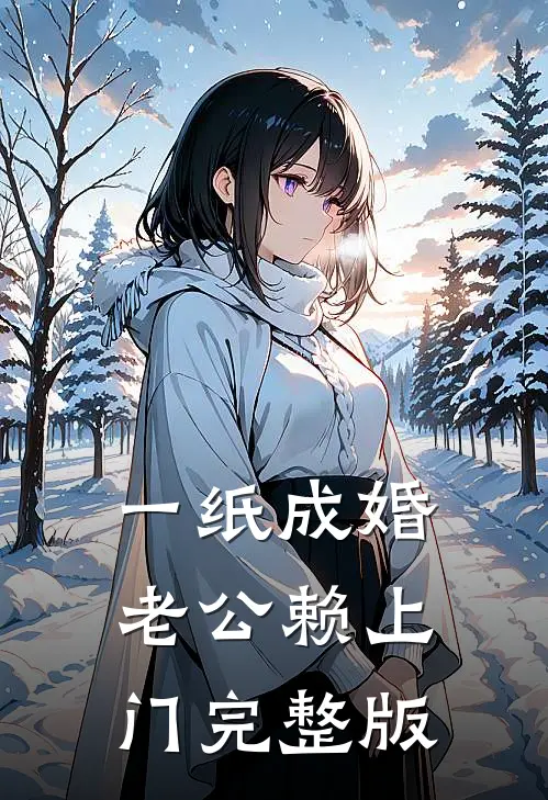 一纸成婚，老公赖上门完整版