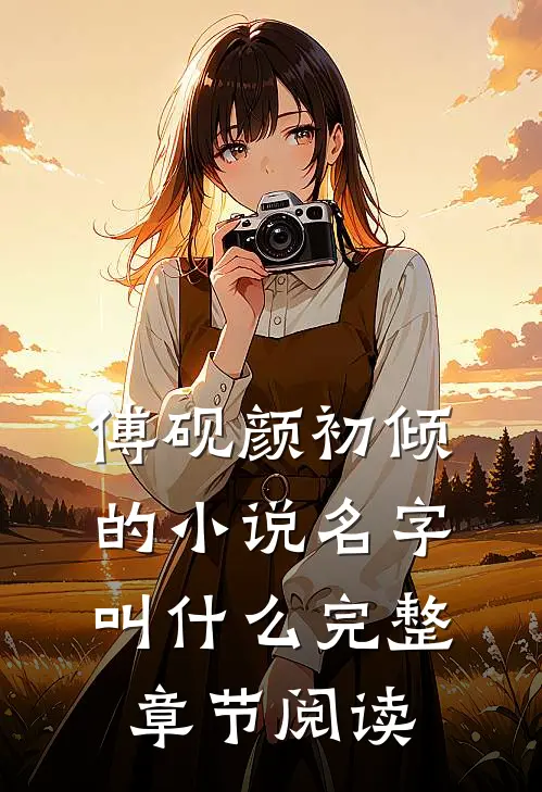 傅砚颜初倾的小说名字叫什么完整章节阅读