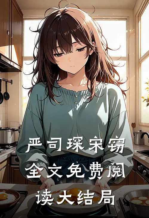 严司琛宋窃全文免费阅读大结局