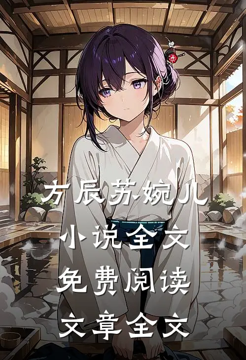 方辰苏婉儿小说全文免费阅读文章全文