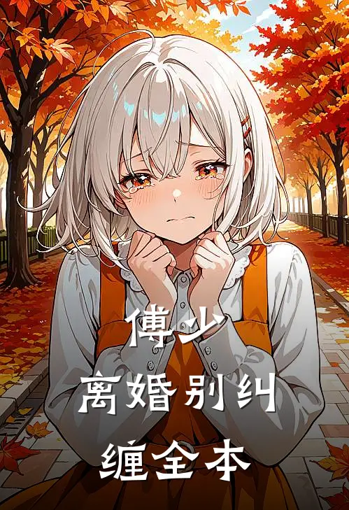傅少,离婚别纠缠全本