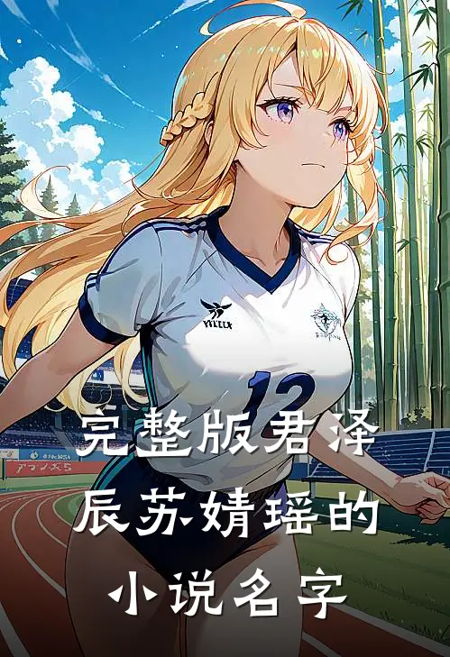 完整版君泽辰苏婧瑶的小说名字