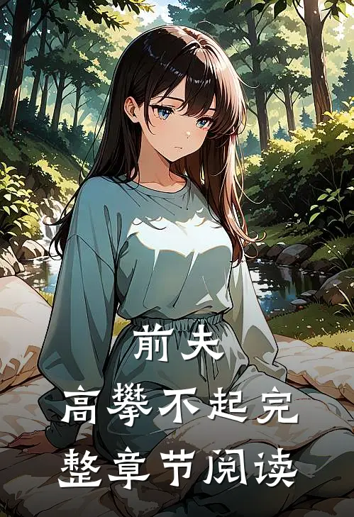 前夫，高攀不起完整章节阅读