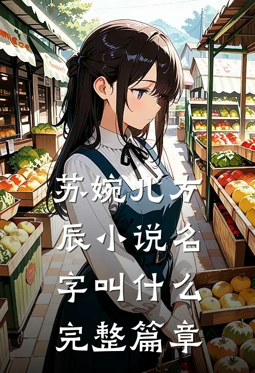 苏婉儿方辰小说名字叫什么完整篇章