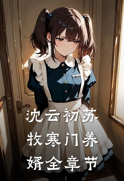 沈云初苏牧寒门养婿全章节