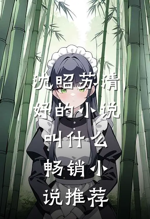 沈昭苏清妤的小说叫什么畅销小说推荐