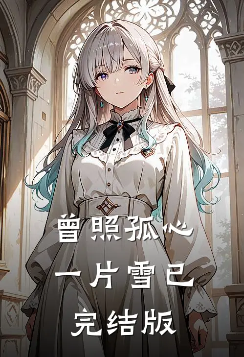 曾照孤心一片雪已完结版