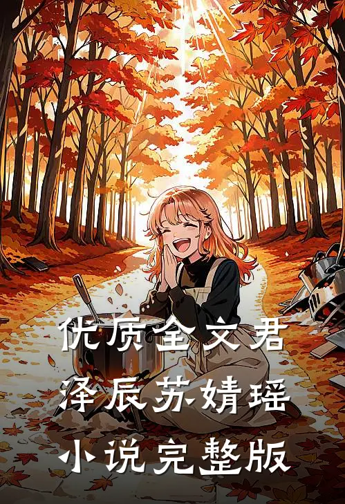 优质全文君泽辰苏婧瑶小说完整版