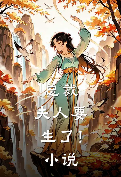 总裁，夫人要生了！小说