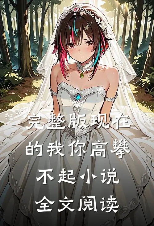 完整版现在的我你高攀不起小说全文阅读