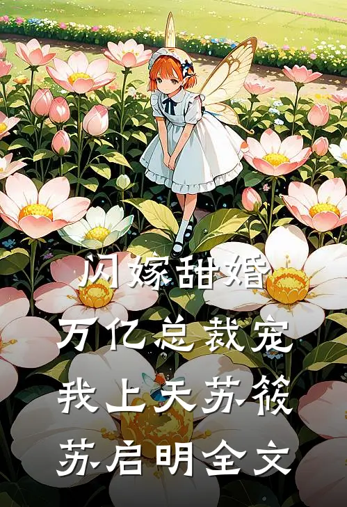 闪嫁甜婚，万亿总裁宠我上天苏筱苏启明全文