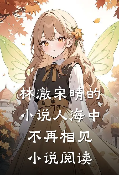 林澈宋晴的小说人海中不再相见小说阅读