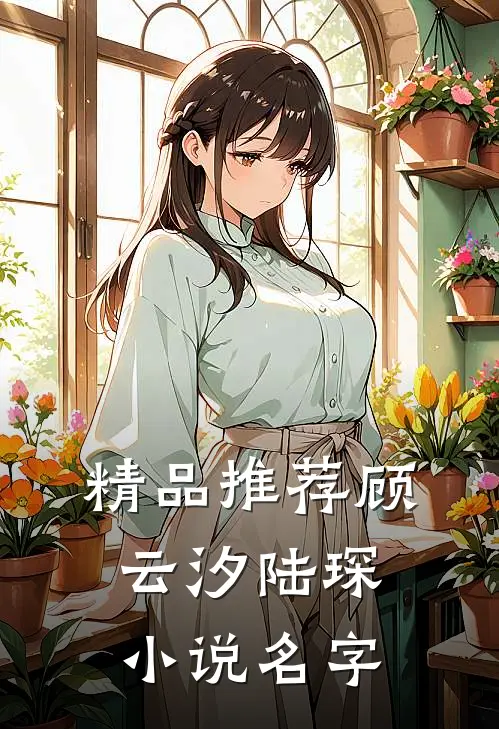精品推荐顾云汐陆琛小说名字