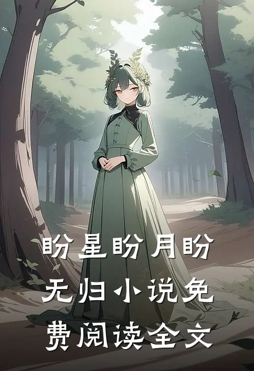 盼星盼月盼无归小说免费阅读全文