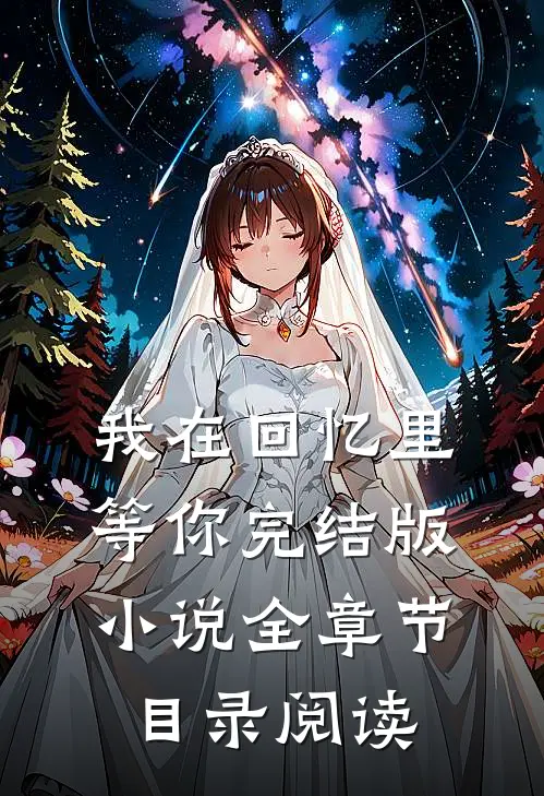 我在回忆里等你完结版小说全章节目录阅读