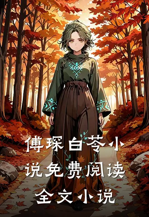 傅琛白苓小说免费阅读全文小说
