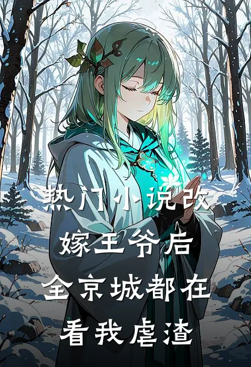 热门小说改嫁王爷后，全京城都在看我虐渣
