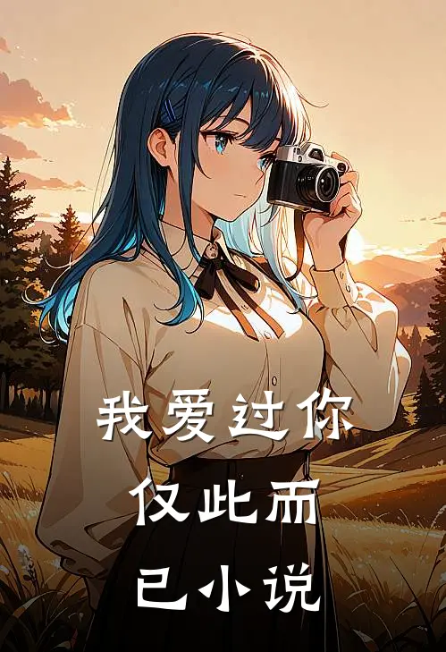 我爱过你，仅此而已小说