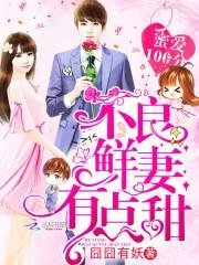玫瑰惹清风精品小说