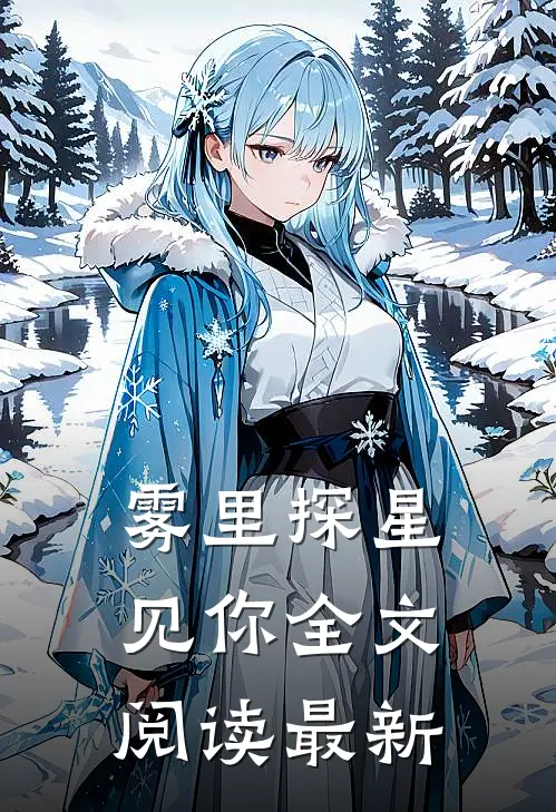 雾里探星见你全文阅读最新