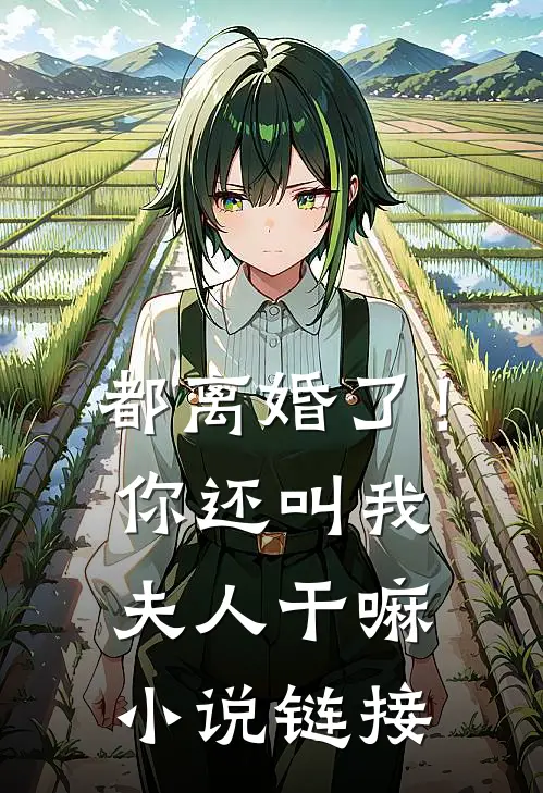 都离婚了!你还叫我夫人干嘛链接阅读